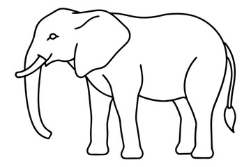 Elephant Outline Vector Art Design