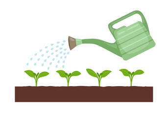 Watering seedlings from watering can. Vector cartoon flat illustration. Gardening concept. © Iv85