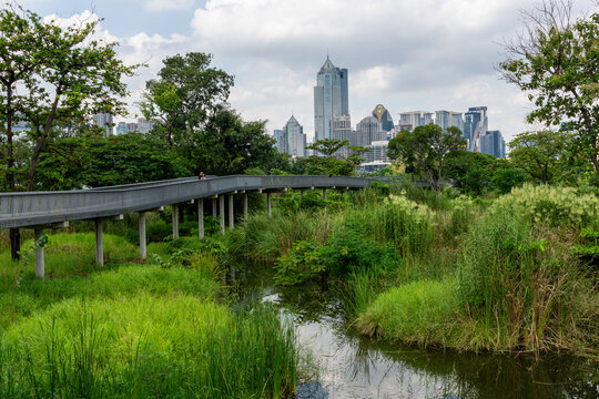 View of Bangkok from the Benjakitti Forest Park