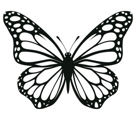 Butterfly Silhouette, Vector illustration