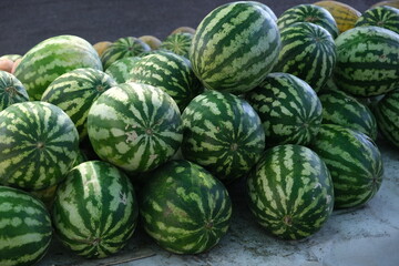 a lot of striped green watermelons at the market