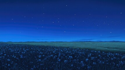 Night field, stars, tranquil landscape, peaceful scene, nature background, perfect for websites or calming visuals