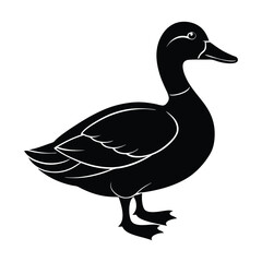 duck