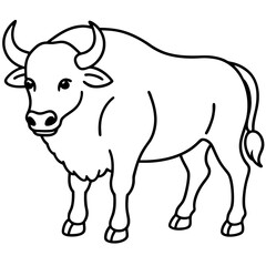 Minimal Buffalo Sketch in Vector