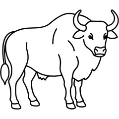 Minimal Buffalo Sketch in Vector