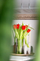 a bouquet of red tulips in a vase
