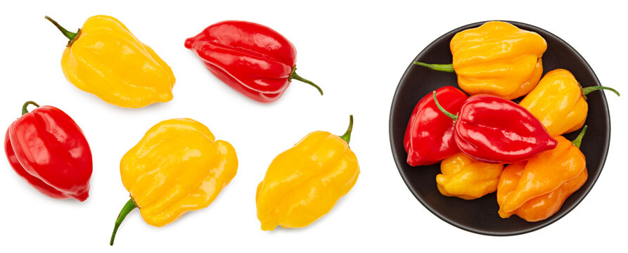 yellow and red habanero chili hot peppers isolated on white background. clipping path. top view