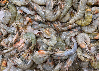 Fresh raw tiger prawns in the market. Top view. Seafood