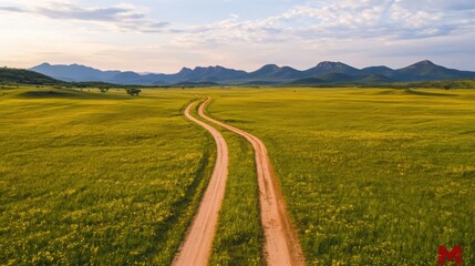 Obraz premium Aerial view of a dirt road meandering through a vast green meadow filled with patches of yellow flowers, leading towards distant mountains. 