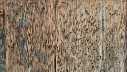 Fototapeta premium Close-up of an aged wood surface with texture and protruding growth rings. This texture is ideal for backgrounds, banners or rustic designs.