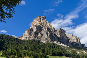 Obraz premium Rugged cliffs of the Sassongher peak dominate the alpine landscape, surrounded by lush pine forests and grassy slopes under a sunny sky