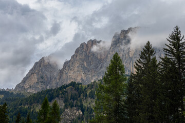 Misty clouds drift around the rugged peaks of the Dolomites, with a dense forest of alpine conifers in the foreground creating a dramatic and tranquil mountain scene