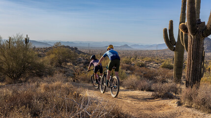 Mountain Bikers Riding Down A Sonoran Desert Trail In Scottsdale Arizona