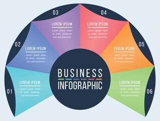 Infographic design 6 options business information