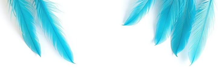 Light Blue Feathers On White Background, soft focus, gentle textures