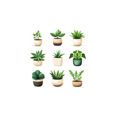 Obraz premium A variety of indoor plants are displayed in white and green pots, set against a plain white background