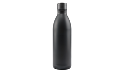 Empty Stainless Thermo Water Bottle