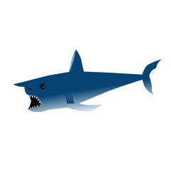 Fototapeta premium shark in the sea