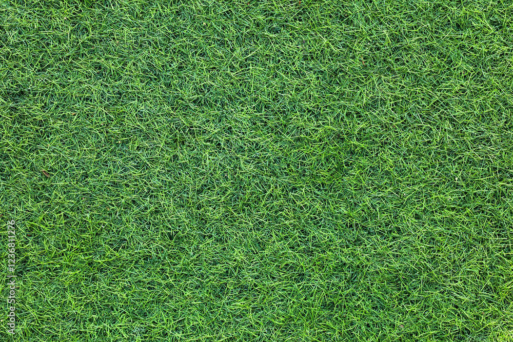 Canvas Prints top view artificial grass background