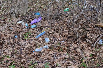 natural landfill outside the city. ecology
