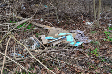 natural landfill outside the city. ecology
