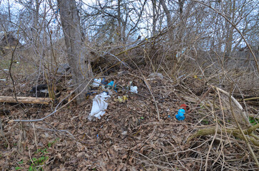 natural landfill outside the city. ecology
