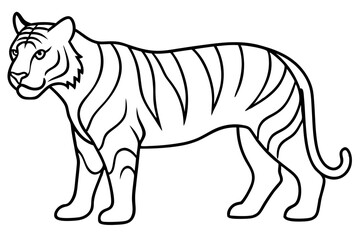 Minimalist Tiger Vector Illustration