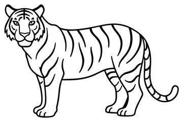 Fototapeta premium Minimalist Tiger Vector Illustration