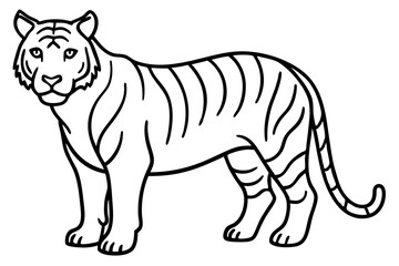 Minimalist Tiger Vector Illustration
