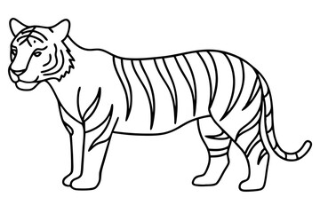Minimalist Tiger Vector Illustration