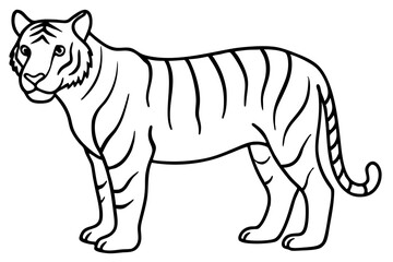Minimalist Tiger Vector Illustration