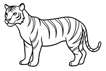 Fototapeta premium Minimalist Tiger Vector Illustration