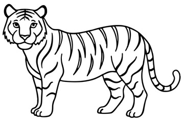 Minimalist Tiger Vector Illustration