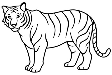 Minimalist Tiger Vector Illustration