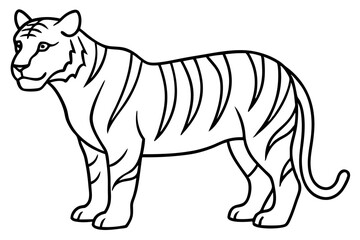 Minimalist Tiger Vector Illustration
