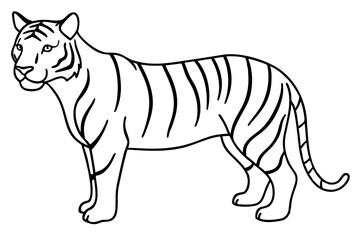 Minimalist Tiger Vector Illustration