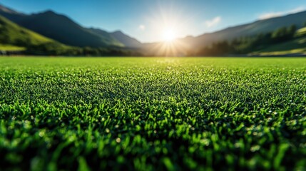 Lush Green Grass Field Landscape with Mountain and Sunset Background