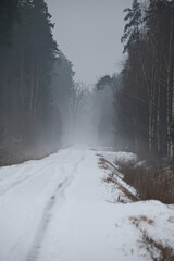 Naklejka premium landscape with snow covered forest road and evening fog