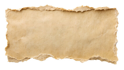 Torn Paper Fragment