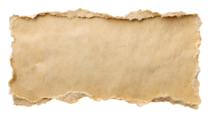 Torn Paper Fragment