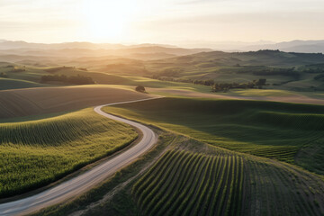 Serpentine road through sun-drenched rolling hills.