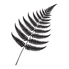 Detailed Black Silhouette of a Single Fern Leaf