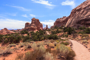 A desert landscape with a dirt path leading through it