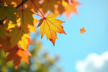 Obraz premium Foliage and branches softly fall through a blurry blue sky, leaves, sky, branches
