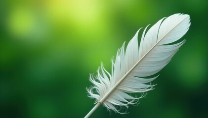 Obraz premium Silver feathers against warm green background, decorative, feathery, silver