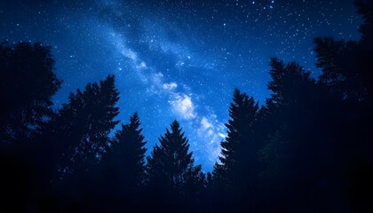 Naklejka premium Milky Way Galaxy Above Silhouetted Pine Trees at Night