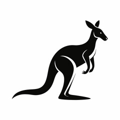 kangaroo vector illustration