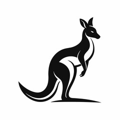 kangaroo
