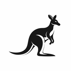 kangaroo illustration