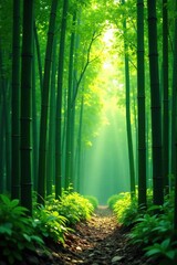 Obraz premium Bamboo forest landscape with bamboo stems and leaves, greenery, green, nature